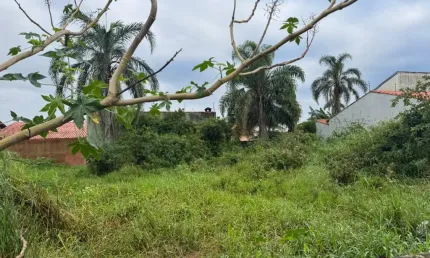 TERRENO PRA FACHADA CONTINUA A VENDA NO BOPIRANGA EM ITANHAÉM