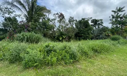 Terreno para venda, peruíbe / sp. possui liberação ambiental  ok