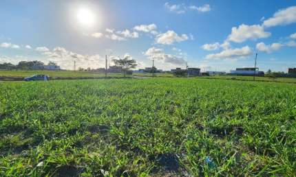 Vendo Lote Com 450 m2, Alta Vista, B. De São Miguel
