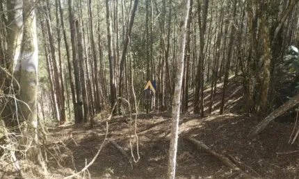 Fazenda para Venda no bairro Itapirapuâ Paulista, 2420000 m