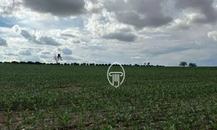 Sítio à venda, 10 alqueires por R$ 10.000.000 - Bratislava - Cambé/PR