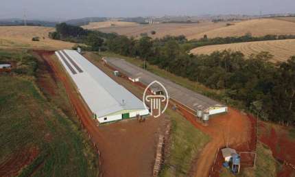 Sítio à venda, 3 alqueires por R$ 3.300.000 - Zona Rural - Londrina/PR