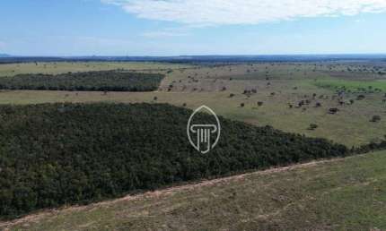 Fazenda à venda, 700 hectares por R$ 14.000.000 - Zona Rural - Coxim/MS