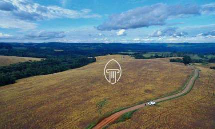 Fazenda à venda, 400 alqueires por R$ 65.000.000 - Zona Rural - Tamarana/PR