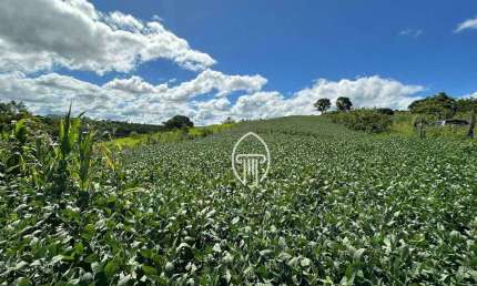 Sítio à venda, 16 alqueires por R$ 3.300.000 - Rural - Urai/PR