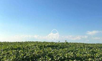 Sítio à venda, 10 alqueires por R$ 15.000.000 - Parque Industrial - Cambé/PR