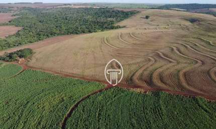 Fazenda à venda, 51 alqueires por R$ 15.000.000 - Rural - Alvorada do Sul/PR