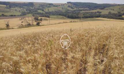 Fazenda à venda, 106 alqueires por R$ 19.000.000 - Zona Rural - Abatia/PR