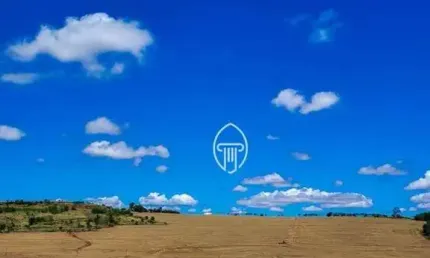 Sítio à venda, 7 alqueires por R$ 2.500.000 - Zona Rural - Rolândia/PR