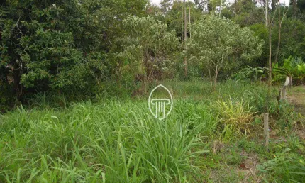 Chácara à venda, 3000 m² por R$ 300.000 - Zona Rural - Londrina/PR