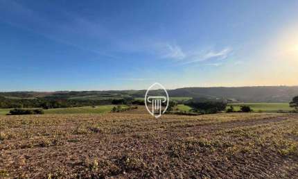 Fazenda à venda, 100 alqueires por R$ 27.000.000 - Zona Rural - Maua da Serra/PR