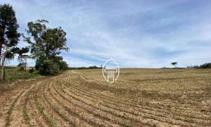 Fazenda à venda, 104 alqueires por R$ 23.000.000 - Zona Rural - Maua da Serra/PR