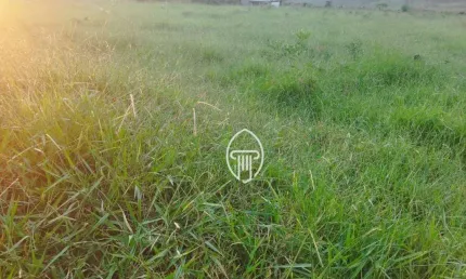 Chácara à venda, 14,50 hectares por R$ 600.000 - Zona Rural - São Jeronimo da Serra/PR