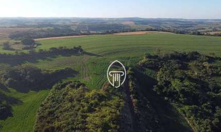 Fazenda à venda, 43 alqueires por R$ 15.100.000 - Rural - Sertanópolis/PR