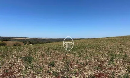 Sítio à venda, 133100 m² por R$ 1.725.000,00 - Zona Rural - Cornélio Procópio/PR