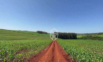 Fazenda à venda na Rodovia Pr 323, Centro, Sertanópolis