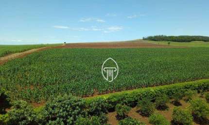 Fazenda à venda, 50 ALQ. por R$ 15.000.000 - Bela Vista do Paraíso/PR