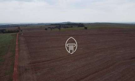 Fazenda à venda, 61,5 alqueires por R$ 25.000.000 - Bela Vista do Paraíso/PR
