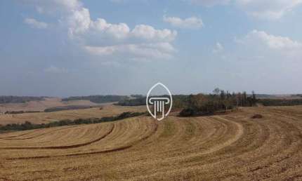 Fazenda à venda, 85 alqueires por R$ 25.650.000 - Sertanópolis/PR