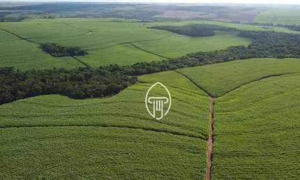 Fazenda à venda, 147,25 Alqueires m² por R$ 28.000.000 - Zona Rural - Porecatu/PR