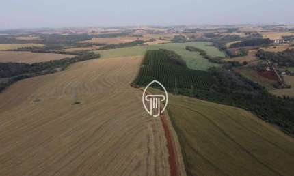 Fazenda à venda, 130 Alqueires por R$ 65.000.000 - Zona Rural - Londrina/PR