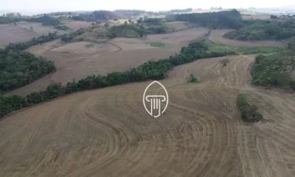 Fazenda à venda, 41,5 alqueires por R$ 12.900.000 - Zona Rural - Londrina/PR