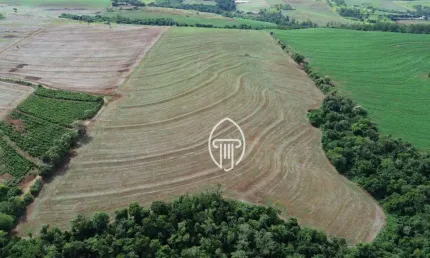 Sítio à venda, 10 alqueires por R$ 3.200.000 - Rural - Sertanópolis/PR