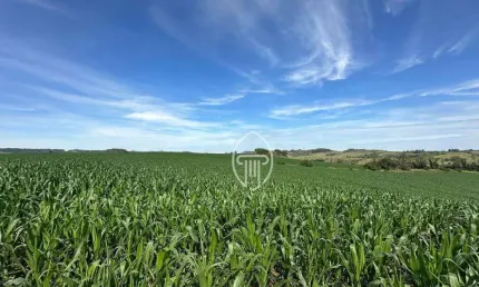 Sítio à venda, 5 Alqueires por R$ 1.200.000 - Zona Rural - Jataizinho/PR
