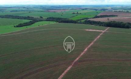 Fazenda à venda, 103 Alqueires por R$ 24.100.000 - Bairro Oeste da Jacutinga - Mariluz/PR