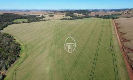 Fazenda à venda, 289 alqueires por R$ 72.250.000 - Zona Rural - Londrina/PR