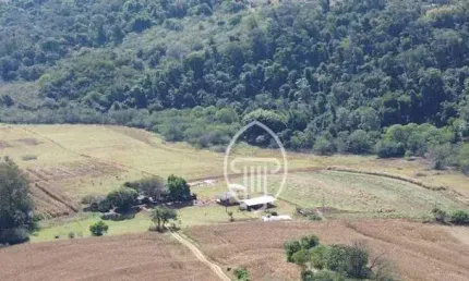 Sítio à venda, 3 alqueires paulistas  por r$ 1.200.000 - zona rural - ibiporã/pr
