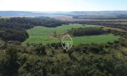 Fazenda à venda, 90 alqueires paulistas por R$ 31.500.000 - Rural - Rancho Alegre/PR