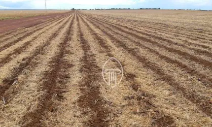Fazenda à venda, 17000 hectares por r$ 550.000.000 - rural - água boa/mt