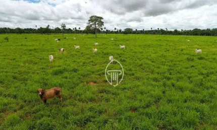 Fazenda à venda, 6470 hectares por R$ 350.000.000 - Zona Rural - Alto Araguaia/MT