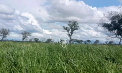 Fazenda à venda, 14.100 hectares por R$ 282.000.000 - Rural - Rio Verde de Mato Grosso/MS