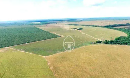 Fazenda à venda, 3584 hectares por R$ 170.000.000 - Zona Rural - Presidente Kennedy/TO