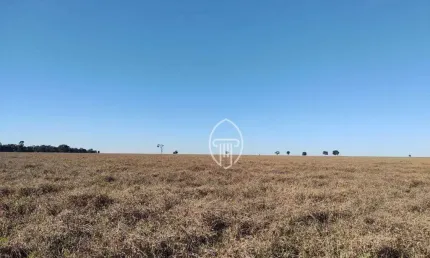 Fazenda à venda, 2070 hectares por R$ 82.800.000 - Zona Rural - Figueirão/MS
