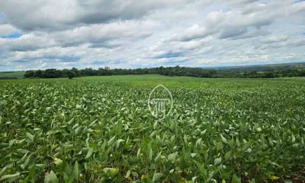 Fazenda à venda, 214 alqueires paulistas por R$ 44.000.000 - Presidente Prudente/SP