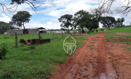 Fazenda à venda, 1600 hectares por r$ 40.000.000 - zona rural - poxoréo/mt