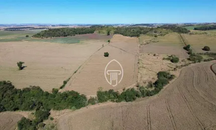 Sítio à venda, 21 alqueires por r$ 6.300.000 - zona rural - ibiporã/pr