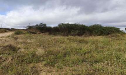Terreno à venda na As Margens Da Br 232, Centro, Pesqueira