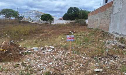 Terreno à venda na Loteamento Miguel Lins De Freitas, s/n, Pedra Redonda, Pesqueira