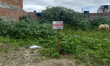 Terreno à venda na Rua Aureliano Cordeiro Leite, s/n, Centro, Sanharó