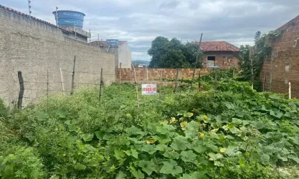 Terreno à venda na Rua Maria Rosa De Oliveira, Pedra Redonda, Pesqueira