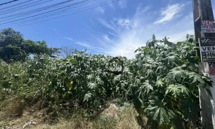 Terreno à venda na Rua Trinta e Dois, 3, Jardim Atlântico Leste (Itaipuaçu), Maricá