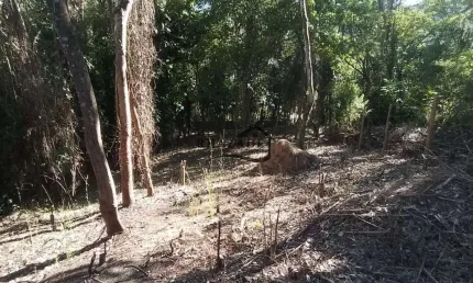 Terreno à venda na Rua Flavio Pinto Severo, 50, Itaipu, Niterói