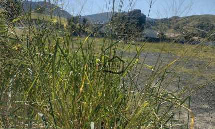 Terreno à venda na Rodovia Ernani do Amaral Peixoto, Lote 20, São José do Imbassaí, Maricá
