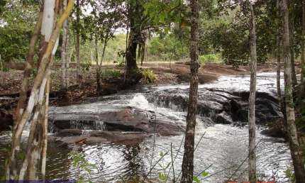 Fazenda com 685 mil m² à venda no litoral proximo de Sauipe com Mata Preservada - Entre Rios - BA