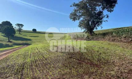 Vende-se Sítio de 6 Alqueires no Distrito Espírito Santo em Londrina - PR