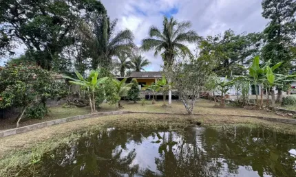 Chácara com Piscina por Entrada de R$ 160 Mil? 1.000m² em Itanhaém com Área Gourmet e Muito Verde!